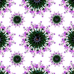 Monde des orchidées