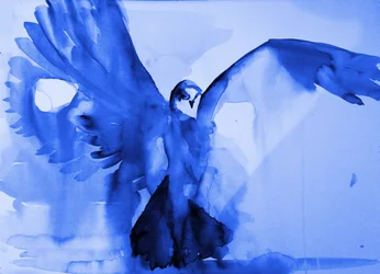 Le vol de la colombe bleue