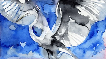 Héron bleu en vol