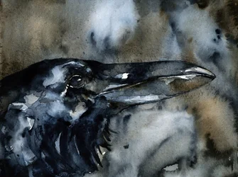 Profil de corbeau sombre