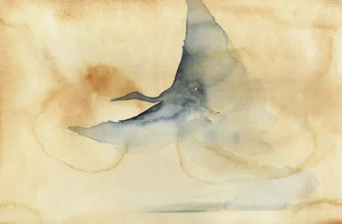 Un oiseau éthéré planant dans les airs