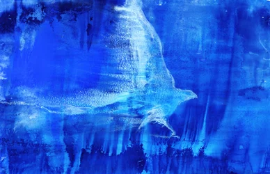 Oiseau bleu éthéré