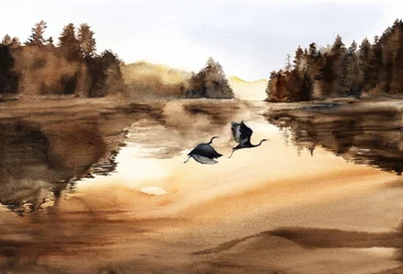 Le vol des oiseaux du lac Golden