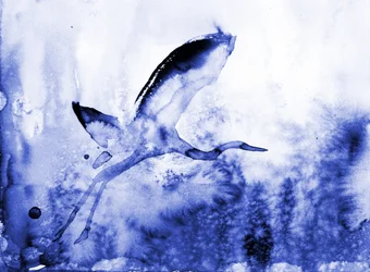 Le gracieux héron bleu