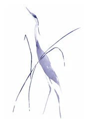 Le héron bleu gracieux