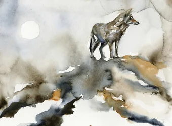 La Lune du Loup solitaire