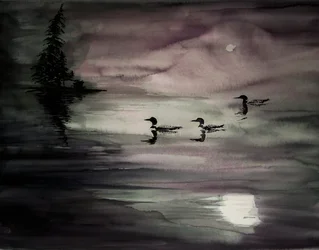 Des huards sur un lac au clair de lune