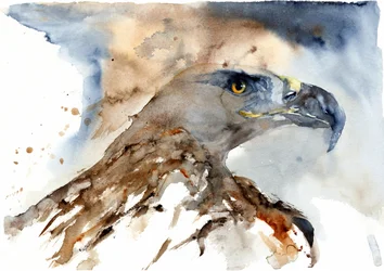 Aigle majestueux à l