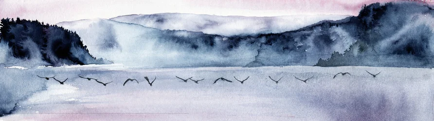 Le vol des oiseaux des montagnes brumeuses