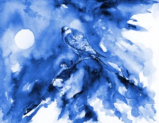 Faucon bleu au clair de lune