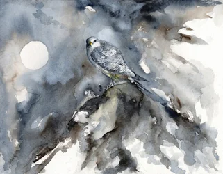 Observation des faucons au clair de lune
