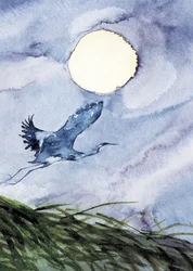 Vol de hérons au clair de lune