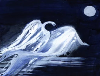 Cygne au clair de lune