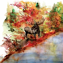 Un élan dans les couleurs de l