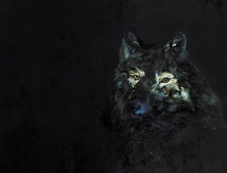 Mystérieux loup noir