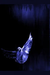 Le vol de la chouette bleue mystique