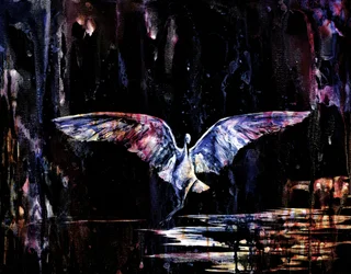 Vol nocturne mystique