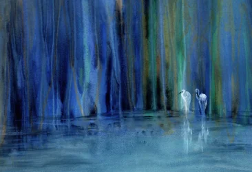 Aigrettes bleues de la forêt sereine