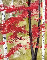 Une forêt automnale aux couleurs chatoyantes