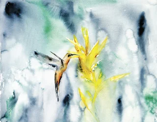 Fleur éclatante du colibri