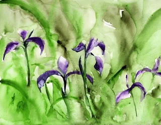 Jardin d