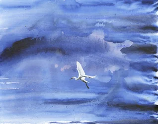 Aigrette blanche, ciel bleu
