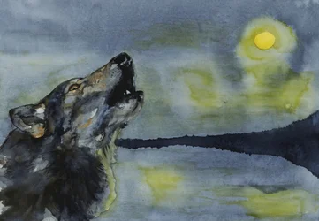 Un loup hurlant à la lune