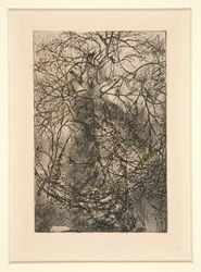 Branchages