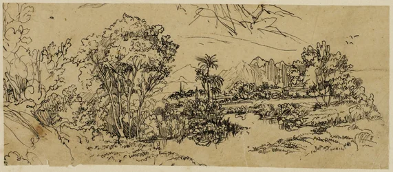 Paysage de la côte ouest