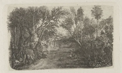 Paysage avec ruisseau et arbres sur les rives