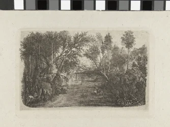 Paysage avec ruisseau et arbres sur les rives