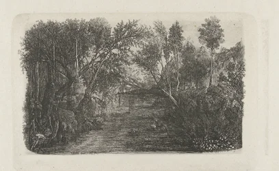 Paysage avec ruisseau et arbres sur les rives
