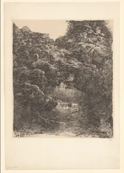 Paysage rocheux avec ruisseau et cascade