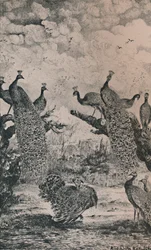 Les Paons, 1869, 1946