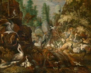 Le paradis des oiseaux