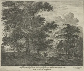 Sentier forestier dans la forêt de La Haye