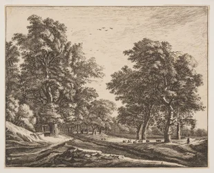 N° 4, extrait de Six vues dans le bois de La Haye