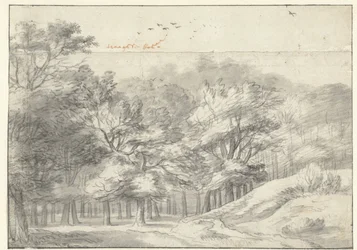 Vue dans la forêt de La Haye