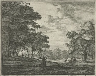 Promeneur dans la forêt de La Haye