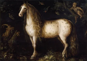 Le gris pommelé, vers 1625-1630