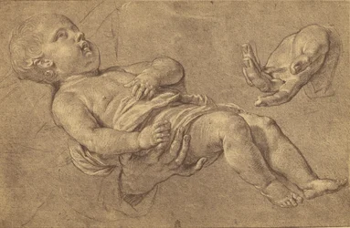 [Dessin d