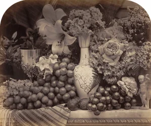 Fruits et fleurs