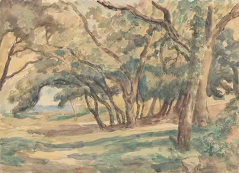 Clairière boisée près de Saint-Tropez