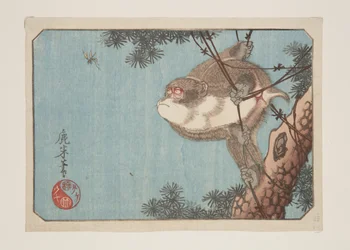 Singe et guêpe