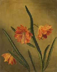 Étude de fleurs