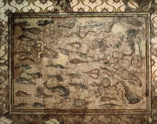 Art romain : mosaïque des poissons