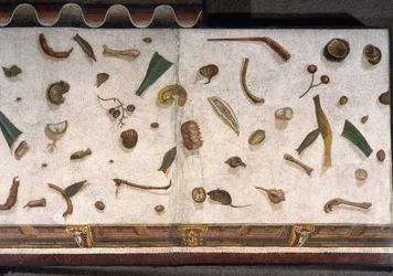 Asarotos (Sol non balayé) Fragments de mosaïque signés par Harakliton de Rome, IIe siècle après J.-C., Rome