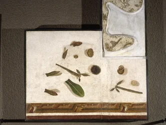 Asarotos (sol non balayé) Fragments de mosaïque signés par Harakliton de Rome, IIe siècle après J.-C., Rome