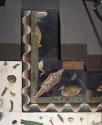 Asarotos (sol non balayé) Fragments de mosaïque signés par Harakliton de Rome, IIe siècle après J.-C., Rome