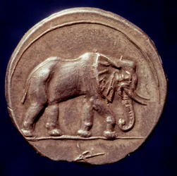 Médaille représentant un éléphant ayant permis au général carthaginois Hannibal (247-183 av. J.-C.) de traverser les Alpes en 218 av. J.-C. pendant la deuxième guerre punique. 3e siècle av. J.-C. Paris, B.N.